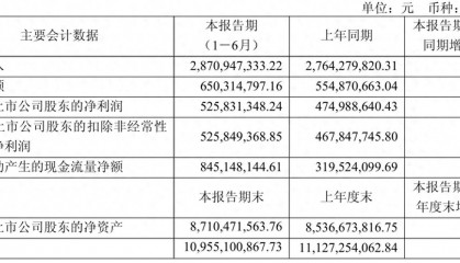 快讯 | 九洲药业上半年净利润增加10.70%