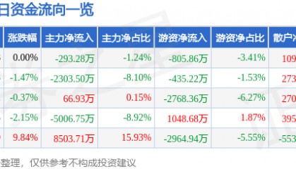 股票行情快报：华电能源（600726）7月11日主力资金净卖出293.28万元