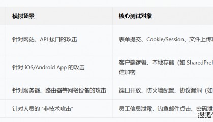 软件安全渗透测试：如何通过模拟攻击确保软件安全？