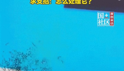 女子上班时一大团蚂蚁爬进电脑显示屏 网友：别在屏幕前吃东西