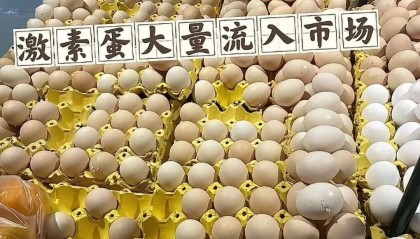 大量“激素鸡蛋”流入市场，长期吃致癌？网友：我买的就是！真相如何？央视调查