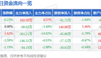 股票行情快报：京能置业（600791）5月28日主力资金净买入102.50万元