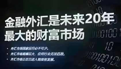 个人如何参与外汇交易？