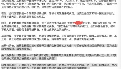 印度前大使炫耀如何阻挠金砖国家新货币计划
