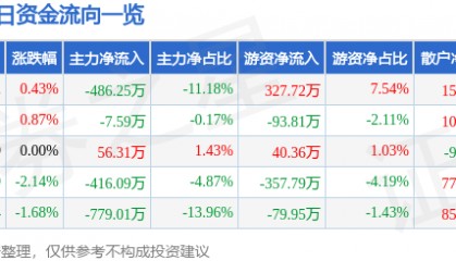 股票行情快报：华电能源（600726）6月24日主力资金净卖出486.25万元