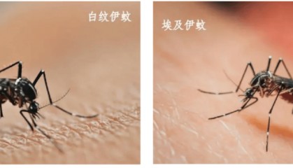 25～30℃蚊子最活跃！驱蚊水如何买、如何用？最全指引→