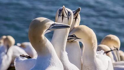 中移软件取得文章集更新方法相关专利