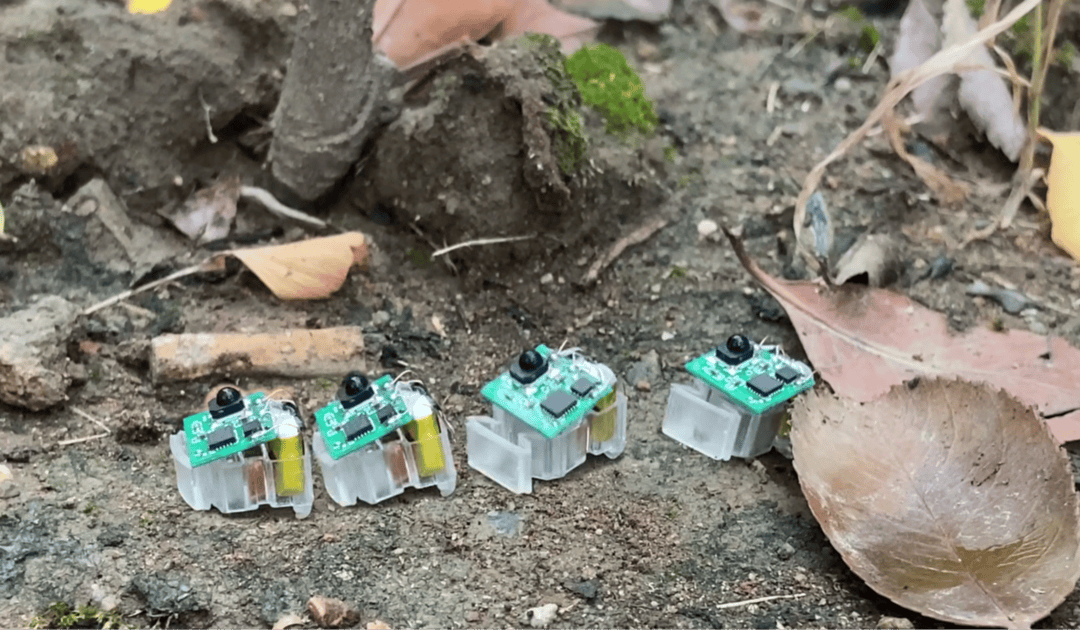 西湖大学研发昆虫尺度软体机器人:能爬能游又抗摔,“机器小强”为什么强