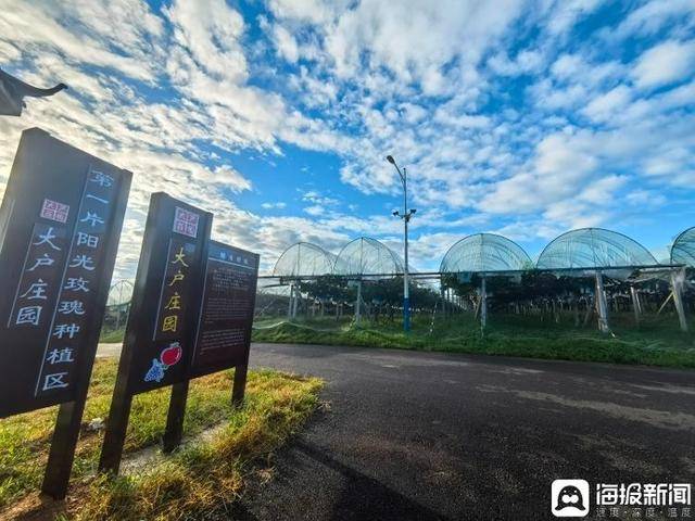 独立调查丨中国农民丰收节为啥选在山东这个小山村里办?