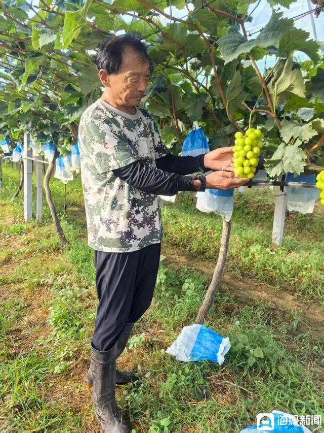 独立调查丨中国农民丰收节为啥选在山东这个小山村里办?