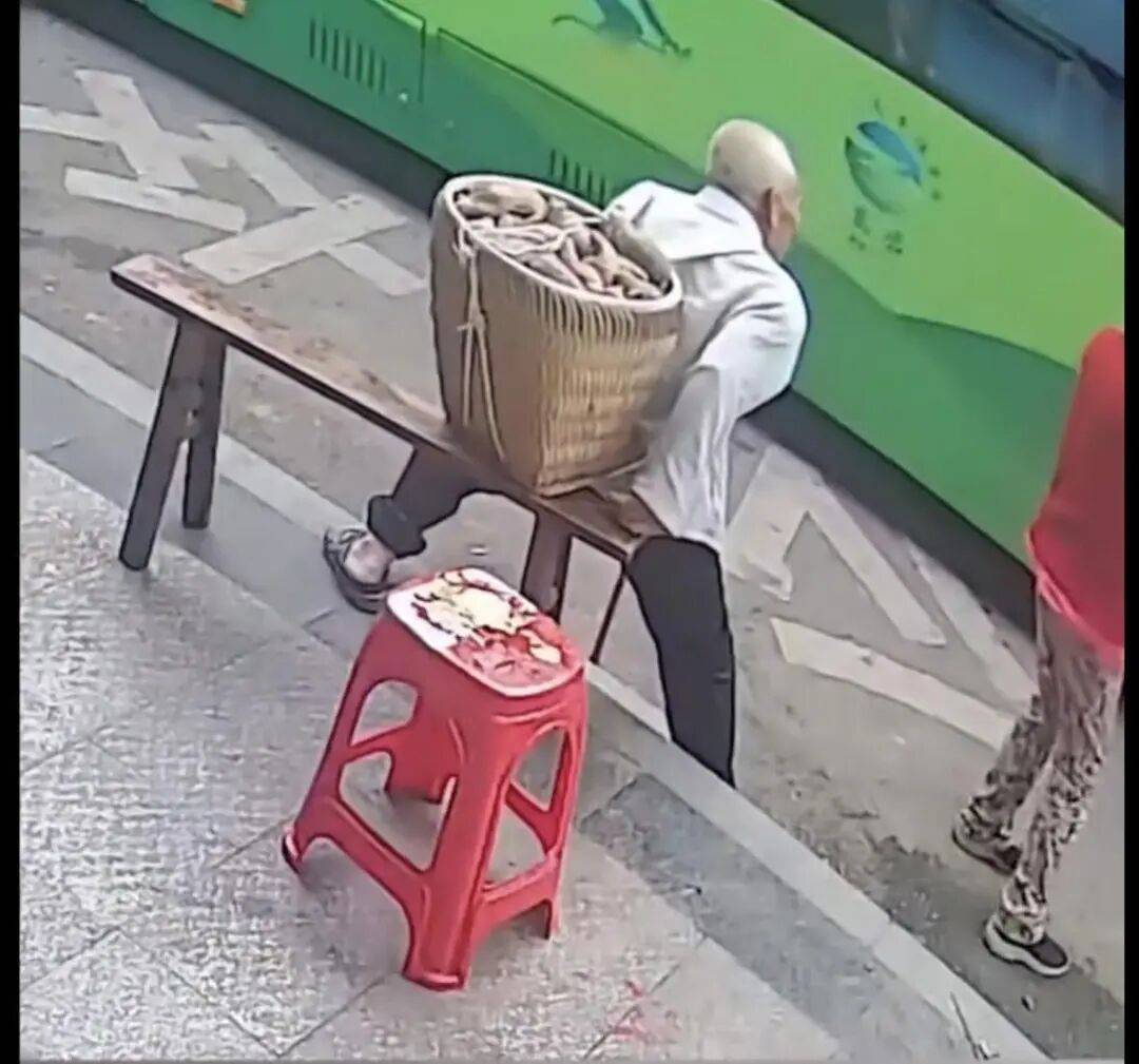 重庆一背篓老人等公交被拒载,交通运输局:涉事司机已被开除