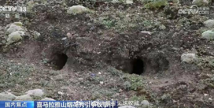 始祖鸟蔡国强炸山秀涉嫌多项违法,依法从严追责才能守住生态防线