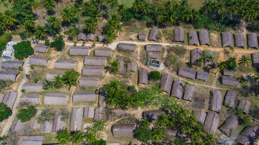 如何推动农村集体经济更好保值增值?