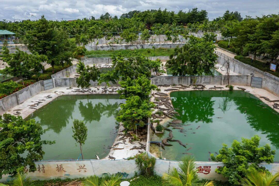 如何推动农村集体经济更好保值增值?