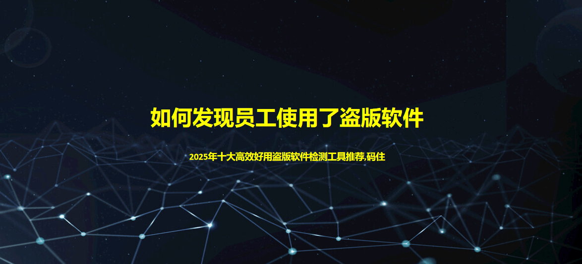 如何发现员工使用了盗版软件?2025年十大高效好用盗版软件检测工具推荐,码住