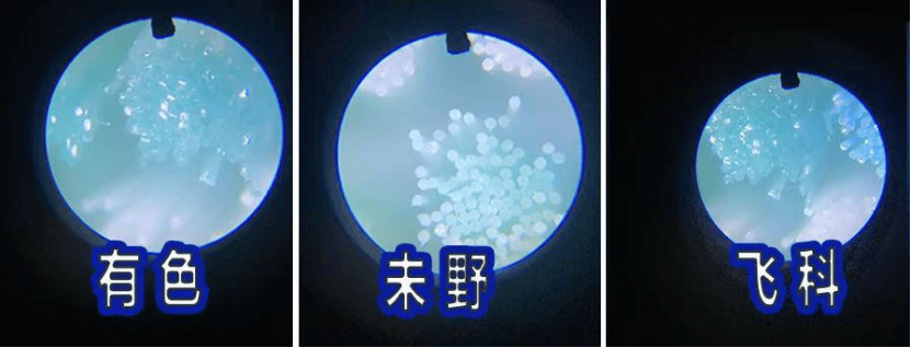 有色、未野、飞科迷你mini剃须刀好不好用?如何选?主流品牌测评PK