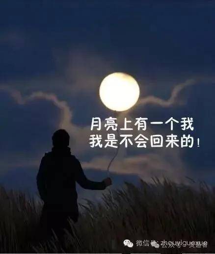 信息与关系:物质和质量是如何产生的