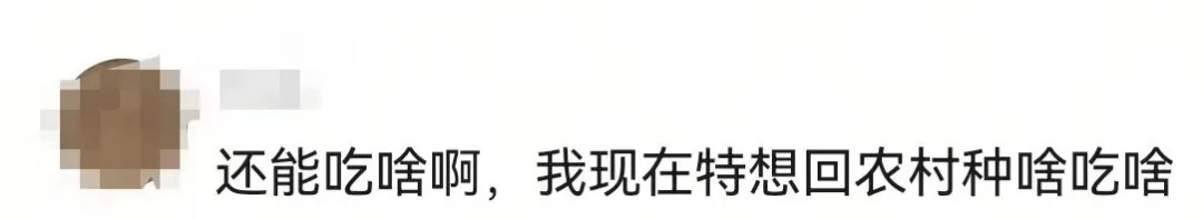 大量“激素鸡蛋”流入市场,长期吃致癌?网友:我买的就是!真相如何?央视调查