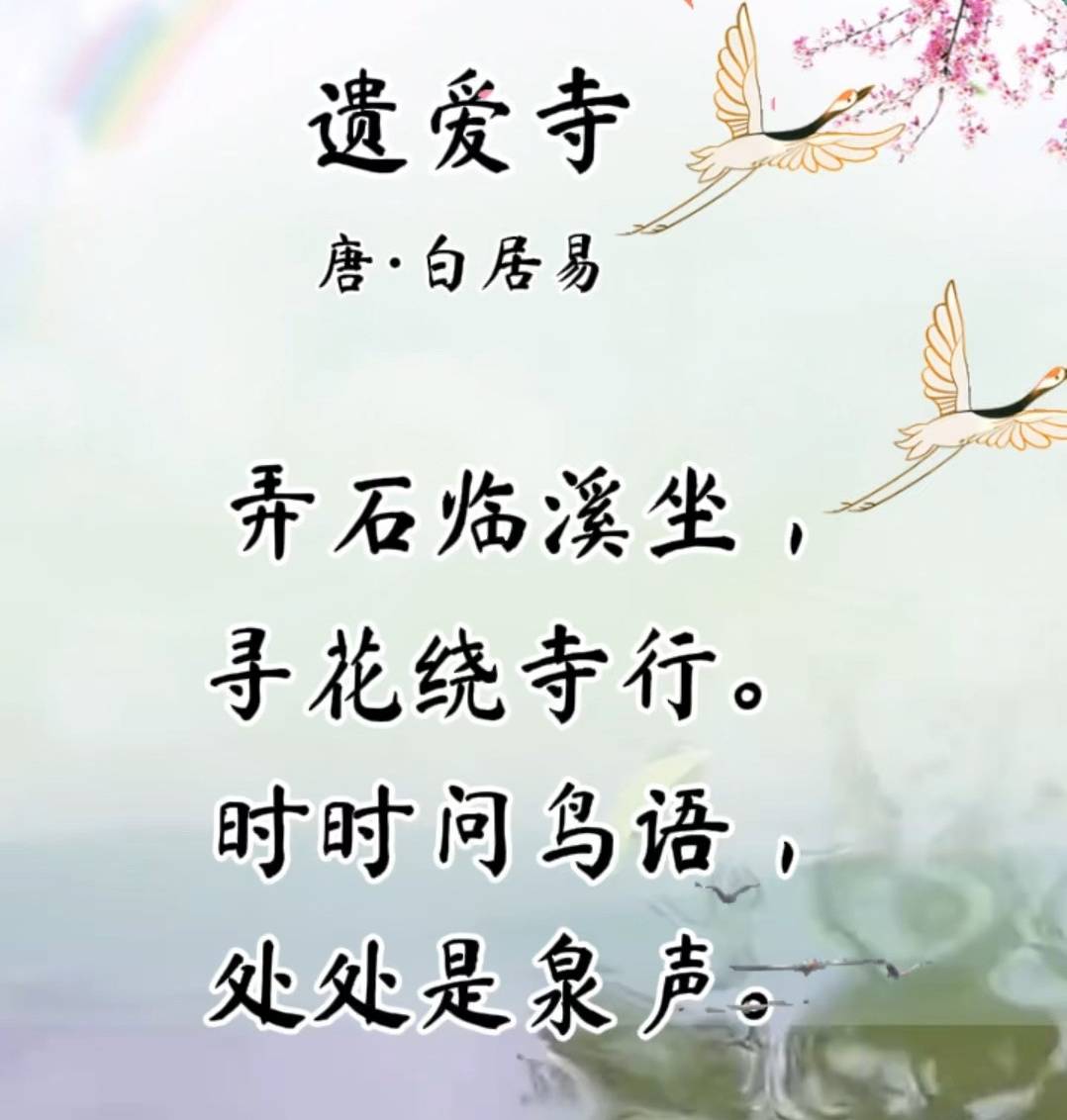 没有手机没有微信如何玩转“朋友圈”？还能“点赞、评论、转发”一条龙！