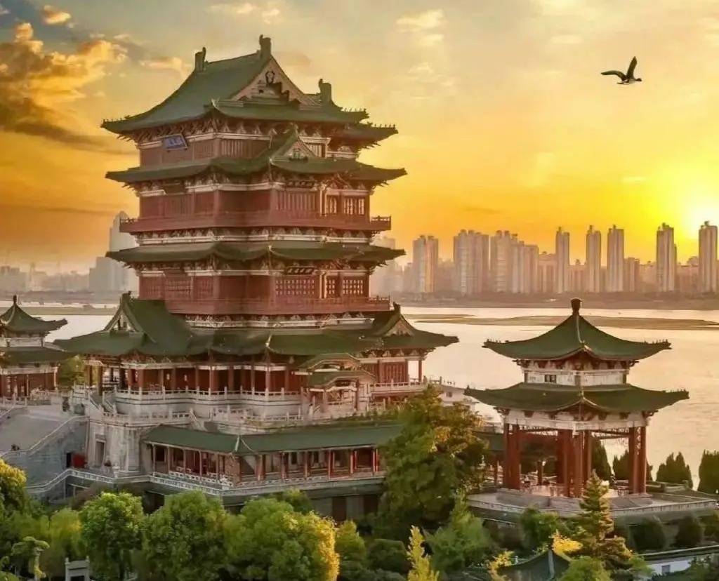 没有手机没有微信如何玩转“朋友圈”？还能“点赞、评论、转发”一条龙！