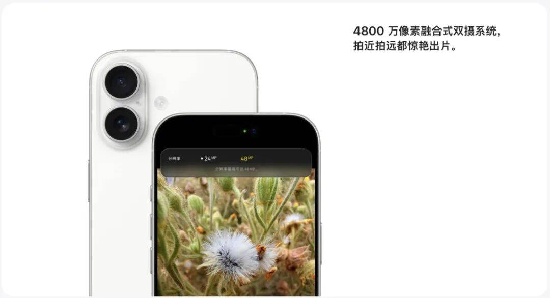 买哪款、怎么买:双十二 iPhone 选购指南