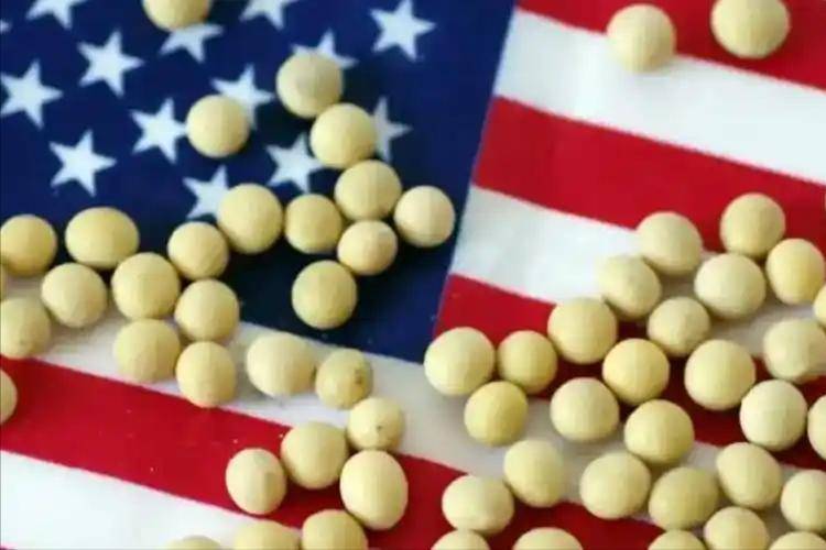 狂买160万吨美豆,每吨贵600,中国的考量精明吗?怎么买才不亏?