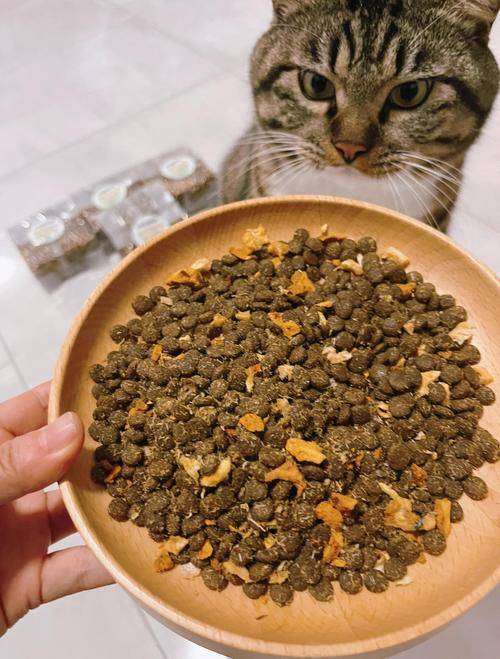 毕克比猫粮怎么样？品质好不好？能放心买吗？