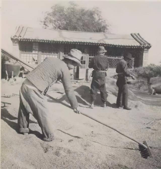 上世纪50年代,那个被印上人民币的女拖拉机手,后来怎么样了?