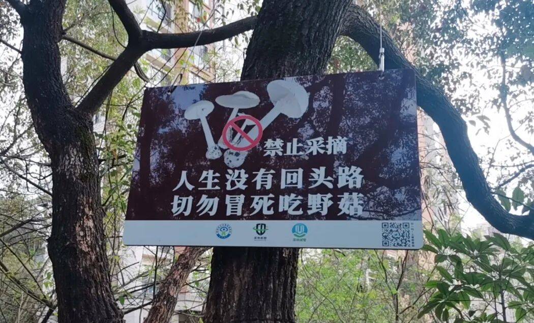 深圳一对夫妻深夜双双入院！一周内12人中招！近期很常见，千万别碰