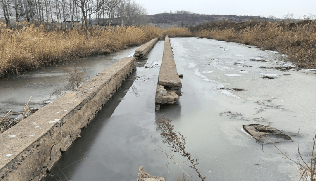当地7次排查均称未发现问题,中央督察组暗查,公布证据