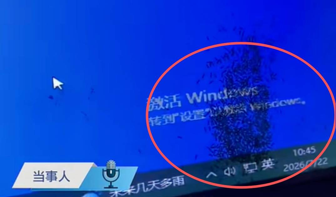 女子上班时一大团蚂蚁爬进电脑显示屏 网友:别在屏幕前吃东西
