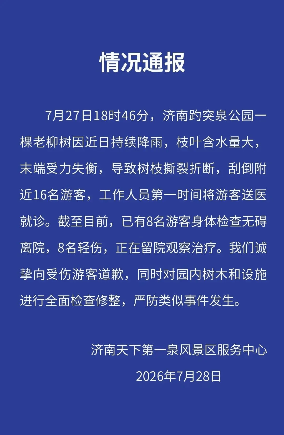 大树折断刮倒16名游客,济南趵突泉景区致歉